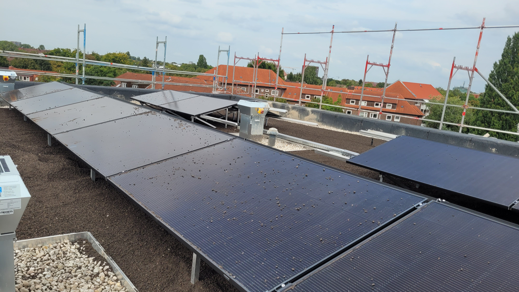 Module sind auf dem Gründach installiert.